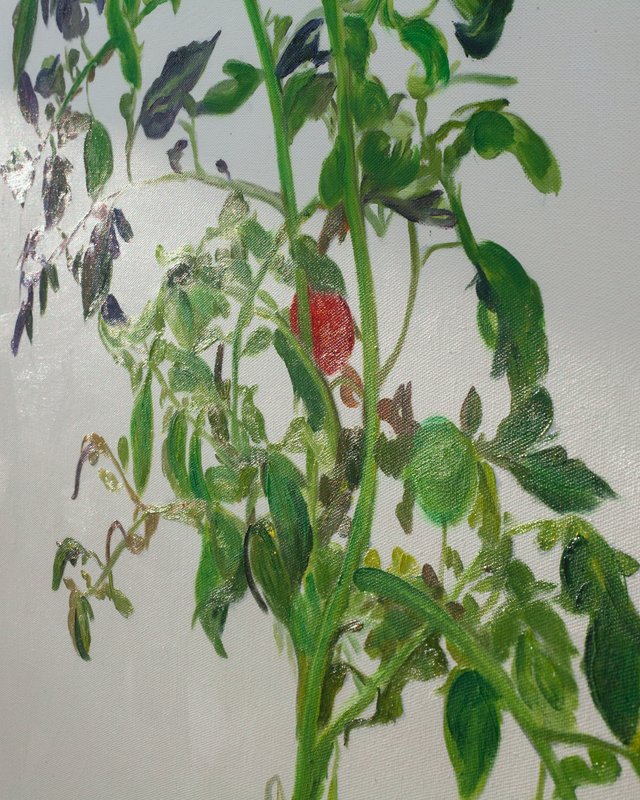 Alex Fischer, 1, 2015-02-26